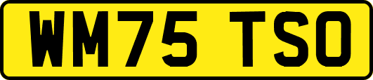 WM75TSO