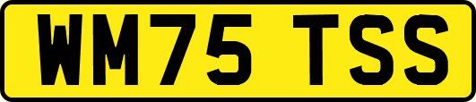 WM75TSS