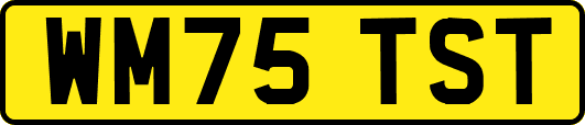 WM75TST