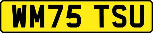 WM75TSU