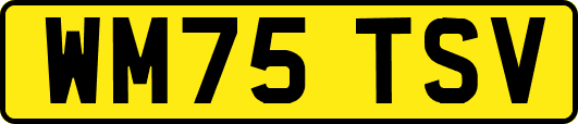 WM75TSV