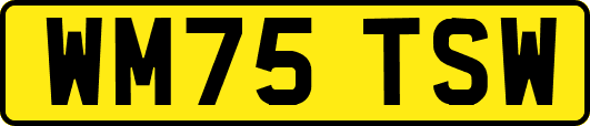WM75TSW