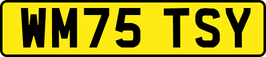 WM75TSY
