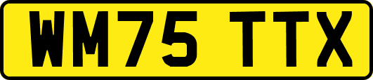 WM75TTX