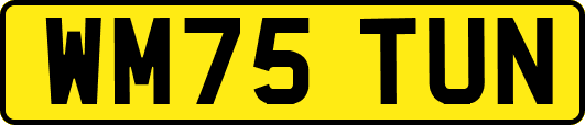 WM75TUN