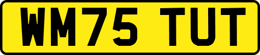 WM75TUT