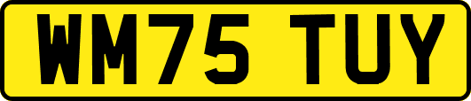 WM75TUY