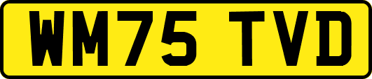 WM75TVD