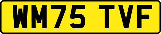 WM75TVF
