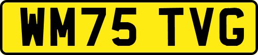 WM75TVG