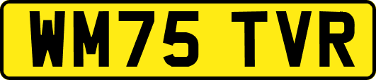 WM75TVR