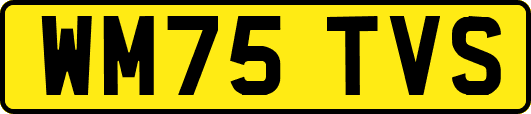 WM75TVS