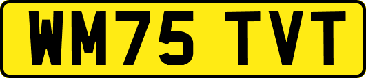 WM75TVT
