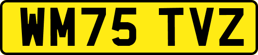 WM75TVZ