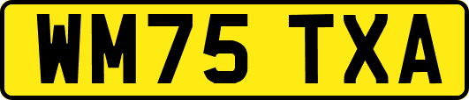 WM75TXA