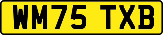 WM75TXB