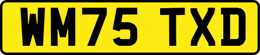 WM75TXD