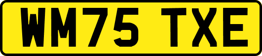 WM75TXE
