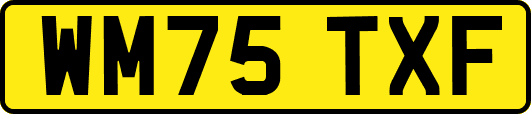 WM75TXF