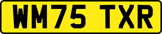 WM75TXR