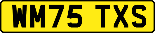 WM75TXS