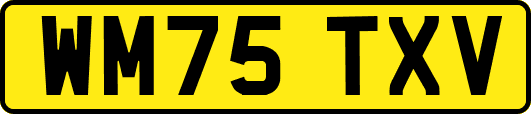 WM75TXV