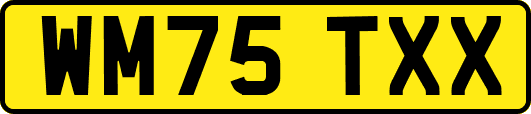 WM75TXX