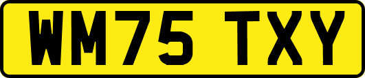 WM75TXY
