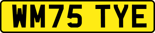 WM75TYE