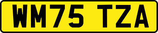 WM75TZA
