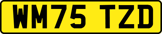 WM75TZD