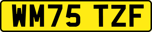 WM75TZF