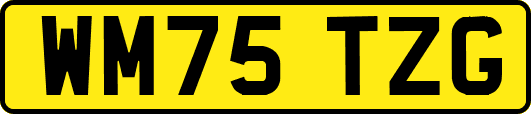 WM75TZG