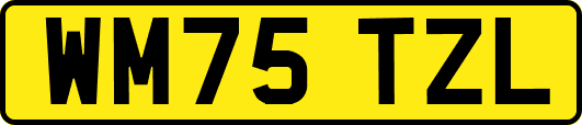 WM75TZL