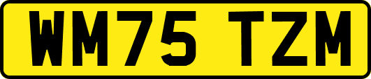 WM75TZM
