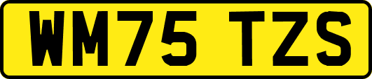 WM75TZS
