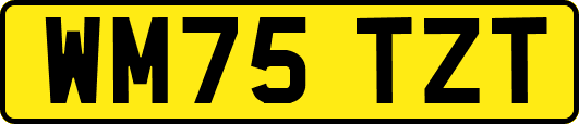 WM75TZT