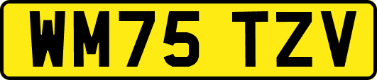 WM75TZV