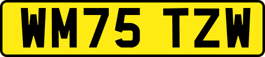 WM75TZW