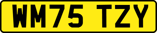 WM75TZY