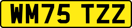 WM75TZZ