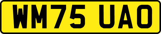 WM75UAO