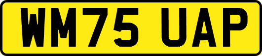 WM75UAP