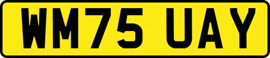 WM75UAY