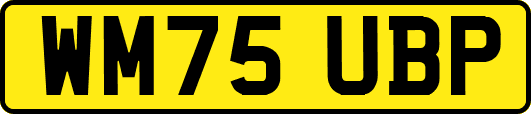 WM75UBP