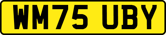 WM75UBY