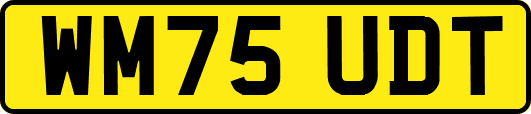 WM75UDT