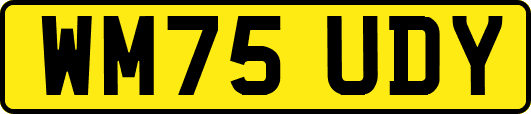 WM75UDY