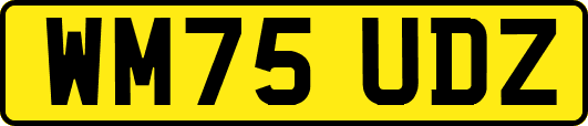 WM75UDZ