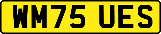 WM75UES